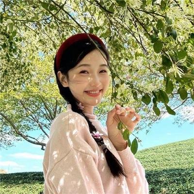 动物宝宝
